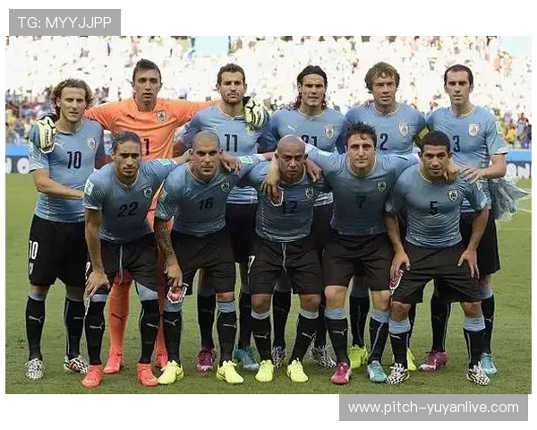 适合铲断的FIFA足球世界球星推荐与技战术解析